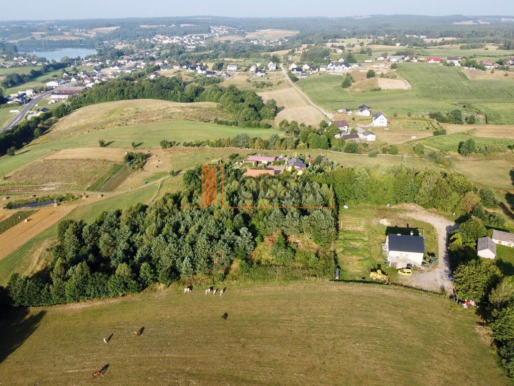 Działka rolna Miechucino Strysza Góra. Zdjęcie 14