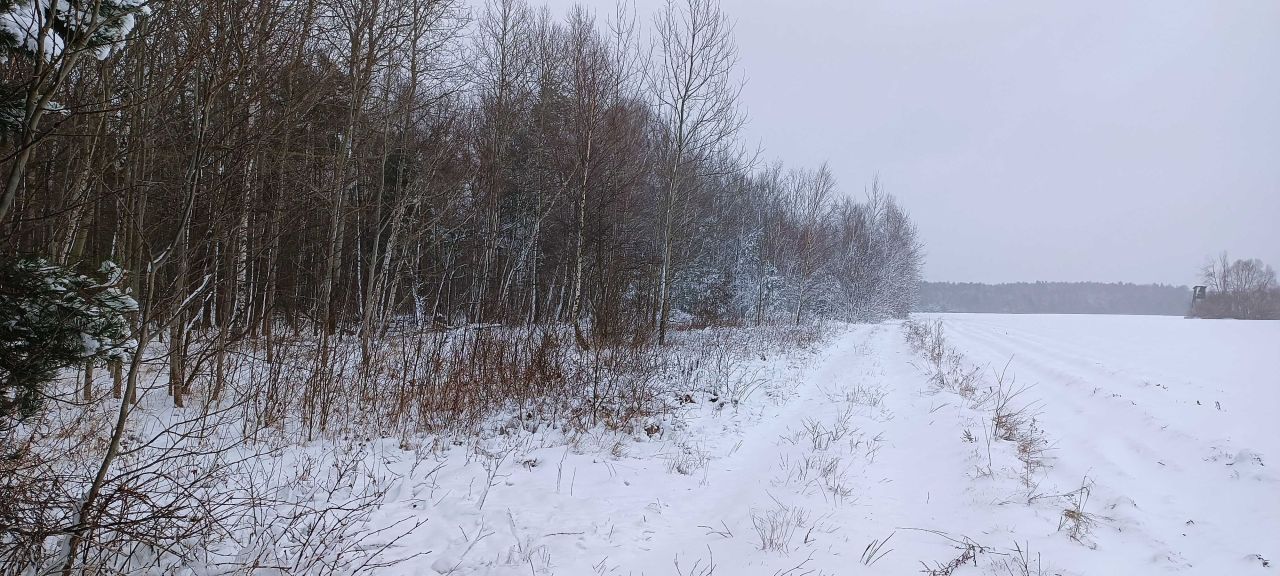 Działka rolna Księstwo. Zdjęcie 3