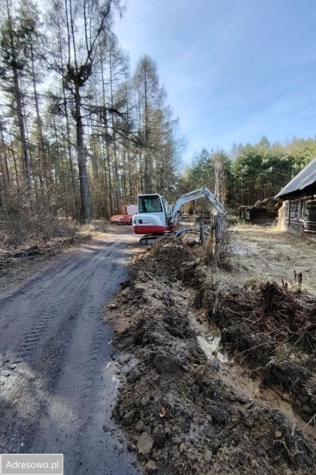 Działka leśna Wołów. Zdjęcie 3