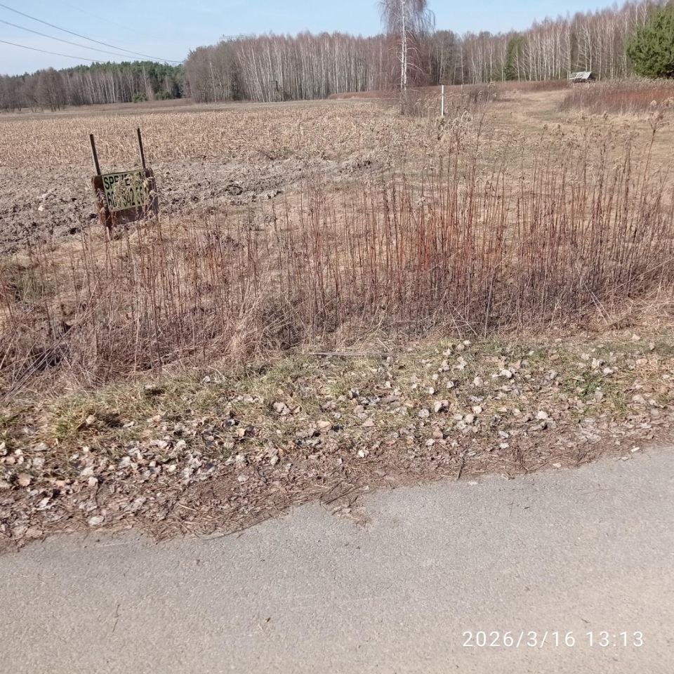 Działka budowlana Pająków. Zdjęcie 11