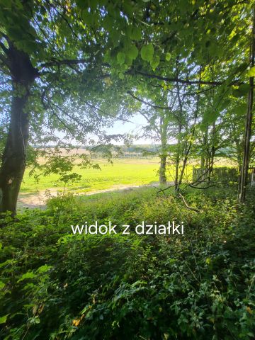 Działka budowlana Wielin. Zdjęcie 1