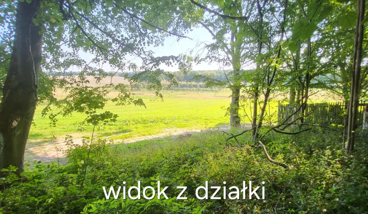 Działka budowlana Wielin