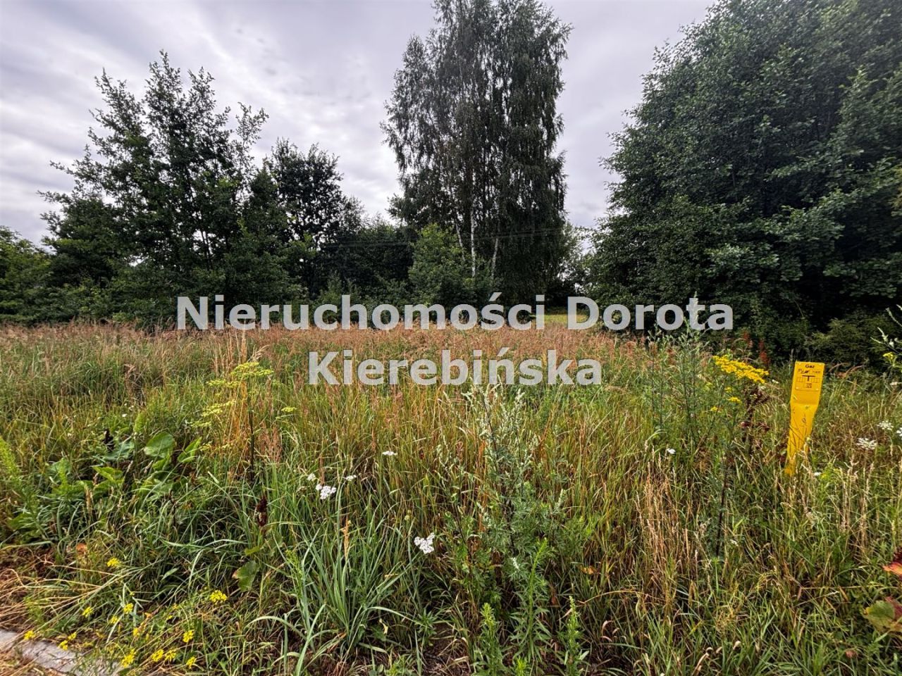 Działka rolna Wolanów