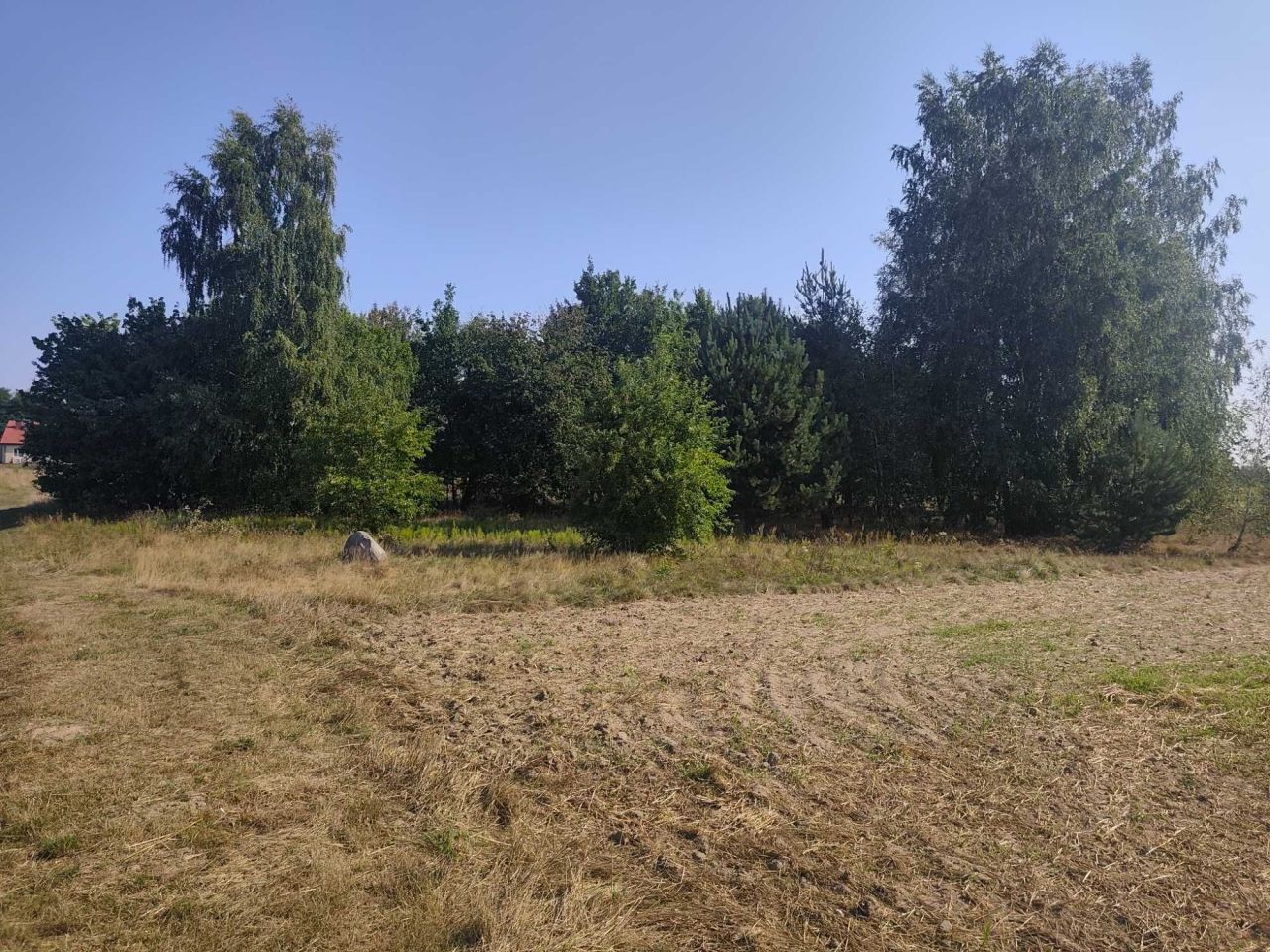 Działka rolna Chosna. Zdjęcie 5