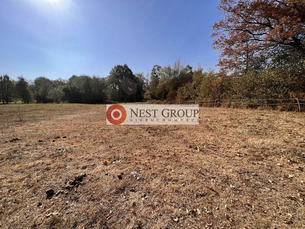 Działka inwestycyjna Skierdy, ul. Lipowa. Zdjęcie 7
