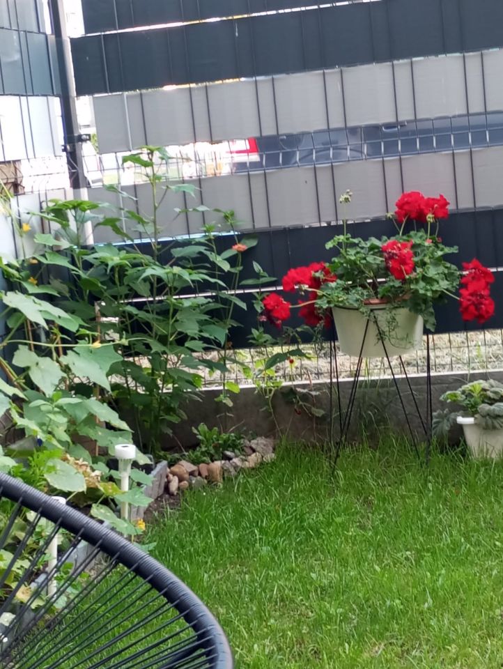 Mieszkanie 1-pokojowe Lubin Przylesie, ul. Kwiatowa. Zdjęcie 1