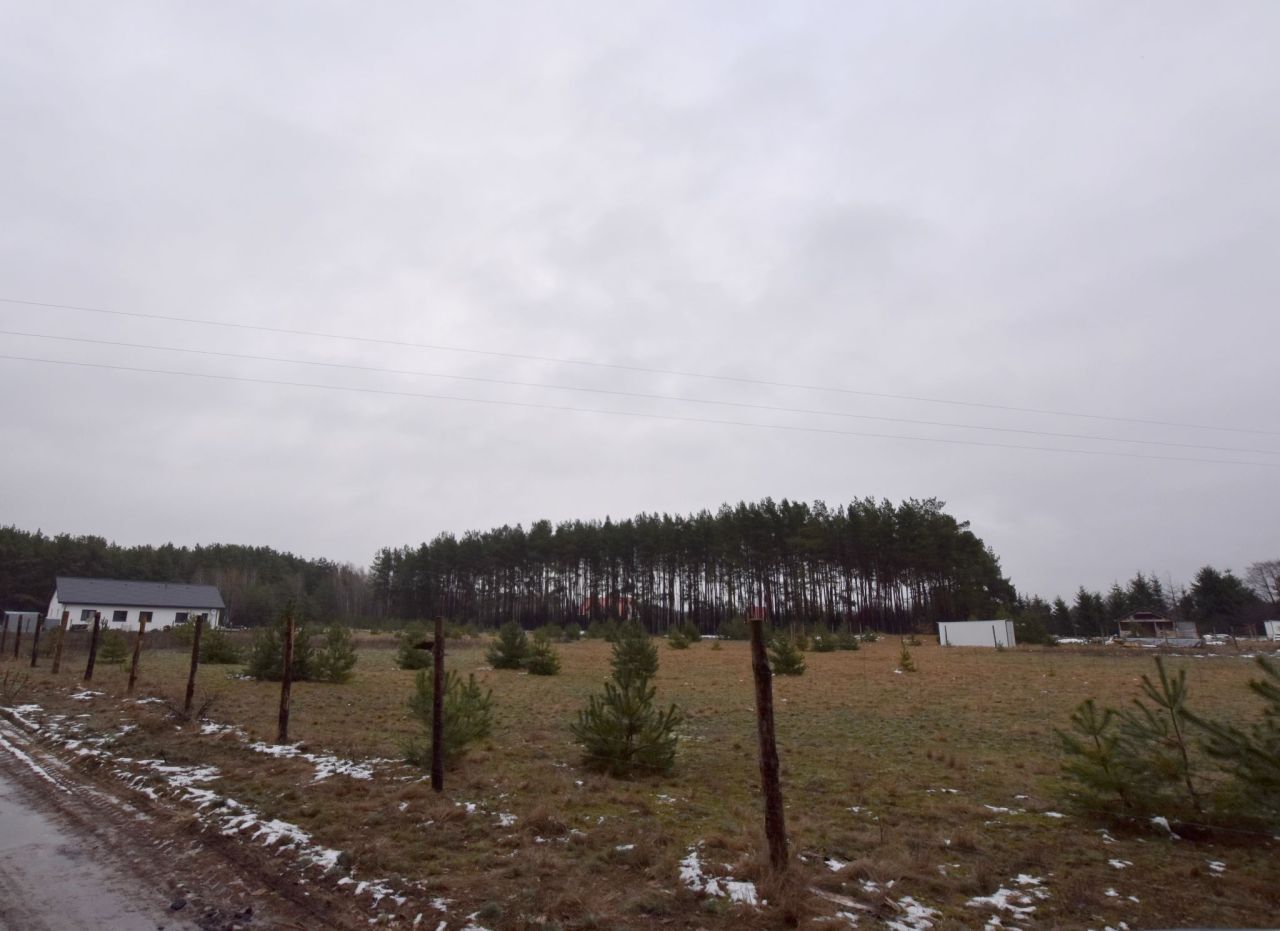 Działka rolno-budowlana Osiek nad Wisłą, ul. Urocza. Zdjęcie 4