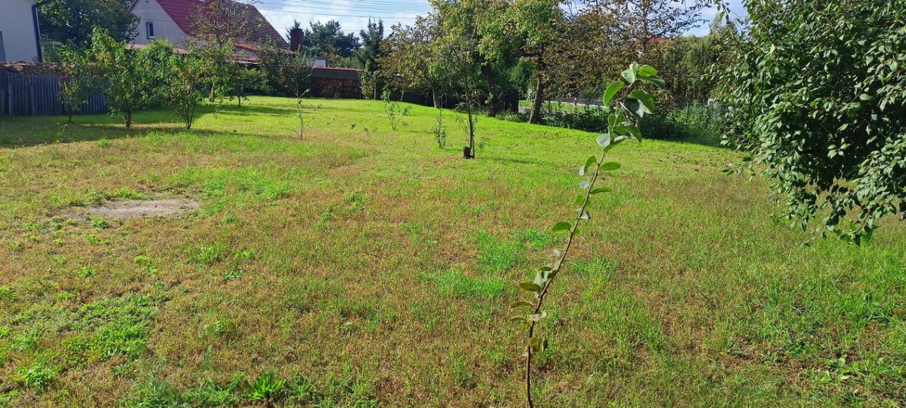 Działka budowlana Wołów, ul. Gajowa