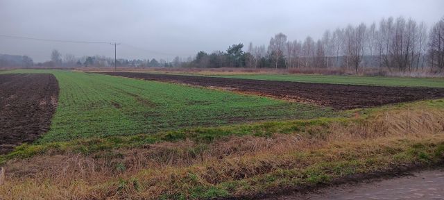 Działka rolno-budowlana Skoroszów. Zdjęcie 1