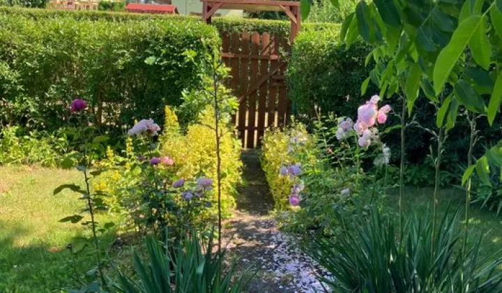 Działka rod Katowice Śródmieście