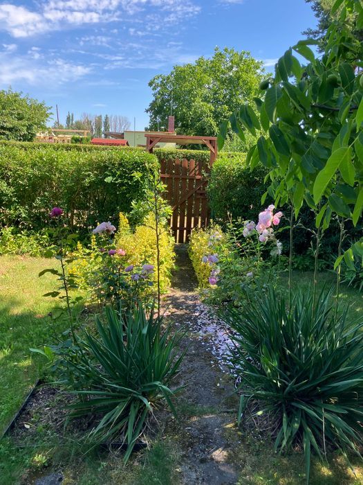 Działka rod Katowice Śródmieście