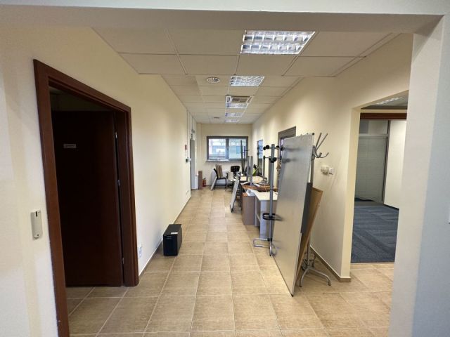 Lokal Wrocław Stare Miasto, ul. Aleksandra Zelwerowicza. Zdjęcie 14