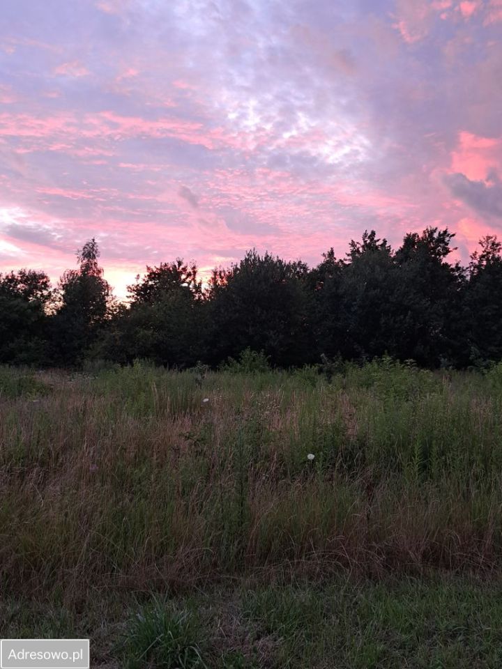 Działka budowlana Tarczyn. Zdjęcie 3