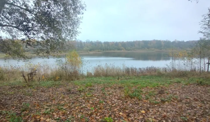 Działka rekreacyjna Parlino, Parlino