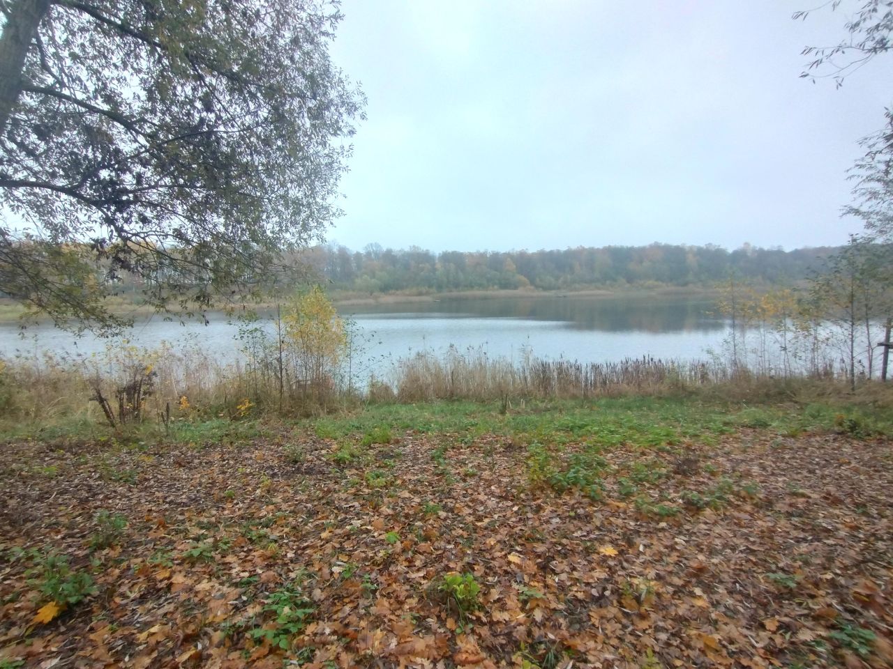 Działka rekreacyjna Parlino, Parlino. Zdjęcie 7