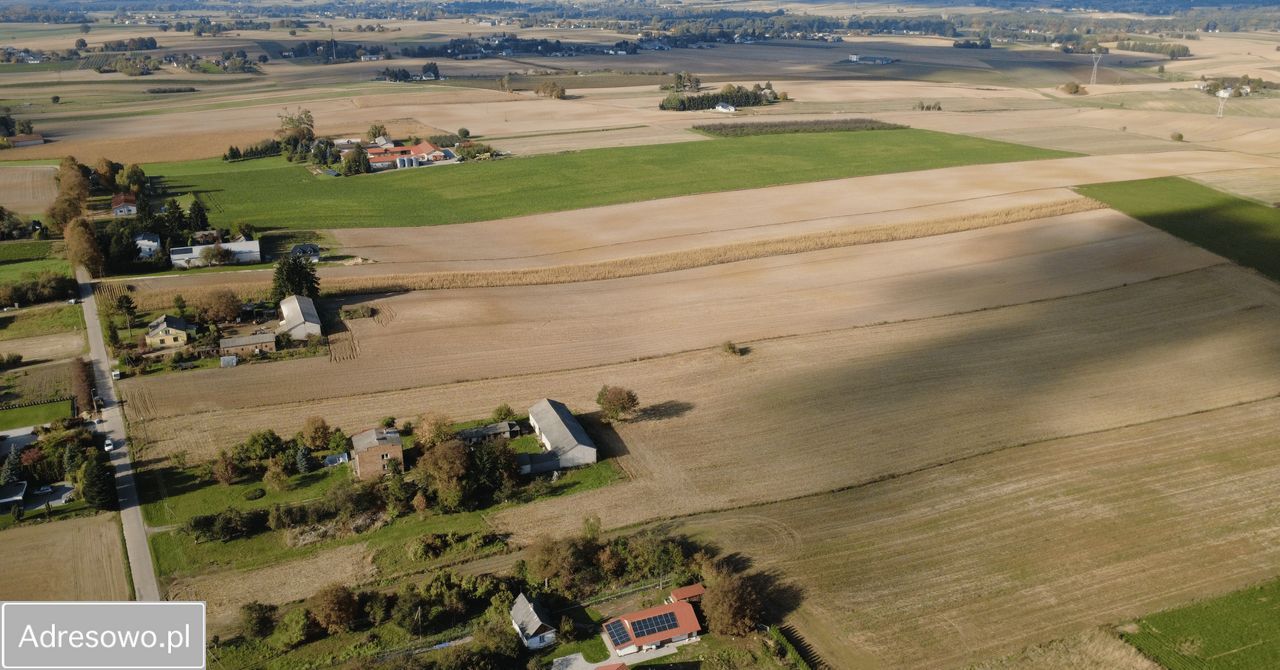 Działka rolno-budowlana Tomaszowice. Zdjęcie 4