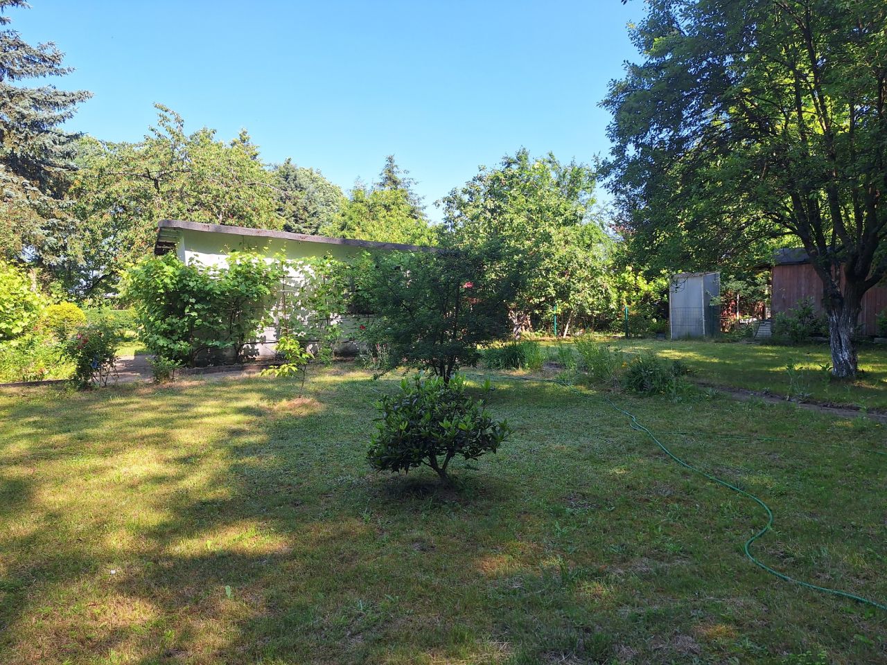 Działka rod Świdnica Łochowo, ul. Wypoczynek. Zdjęcie 3