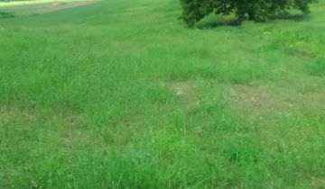 Działka budowlana Kolonia Góra Puławska