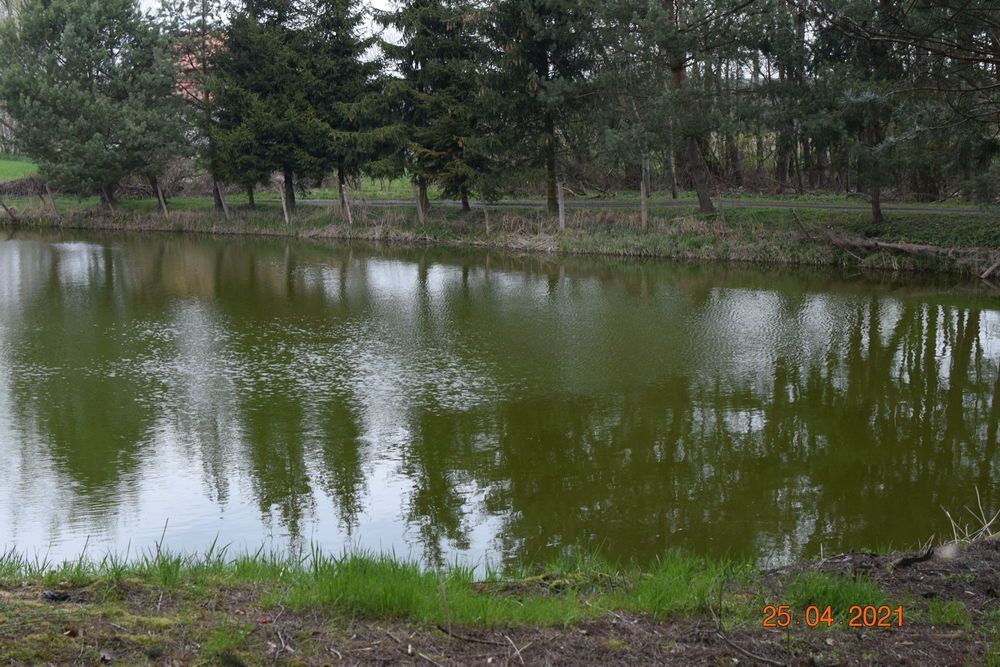 Działka rekreacyjna Surhów-Kolonia. Zdjęcie 5