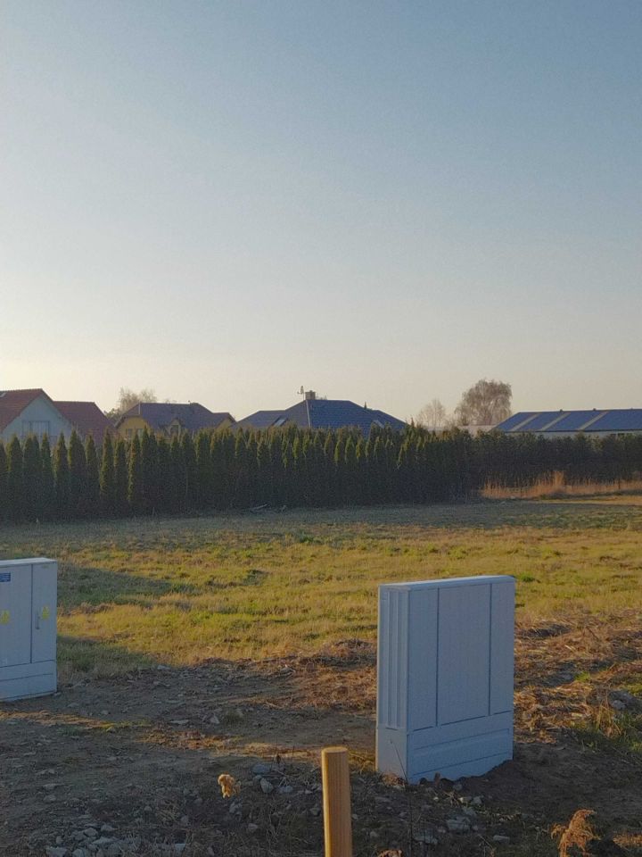 Działka budowlana Zofiówka. Zdjęcie 5