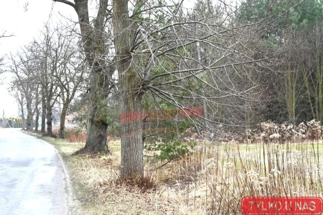 Działka budowlana Szczedrzyk. Zdjęcie 2