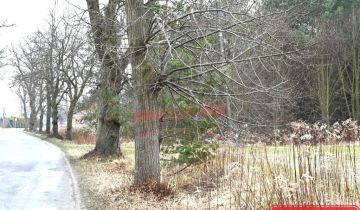 Działka budowlana Szczedrzyk