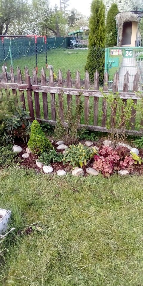 Działka rod Toszek, ul. Boguszycka. Zdjęcie 6