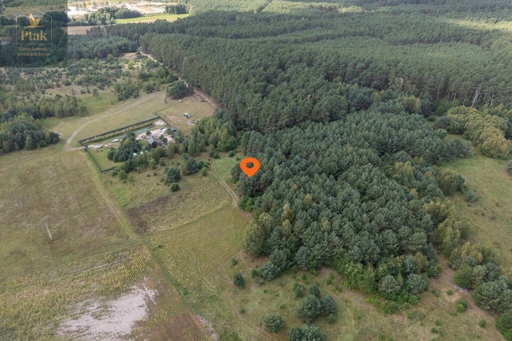 Działka rolna Obrzycko. Zdjęcie 1