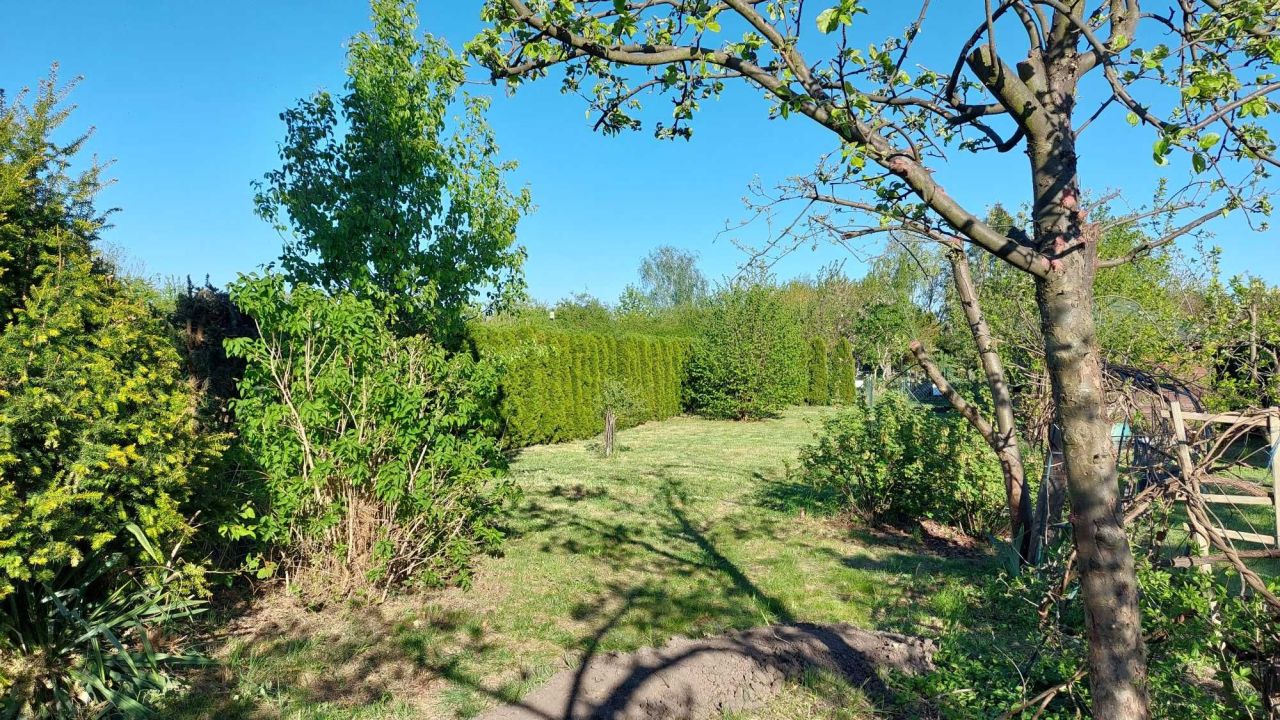 Działka rod Bielany Wrocławskie. Zdjęcie 7