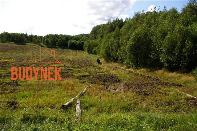 Działka rolna Lejkowo. Zdjęcie 13