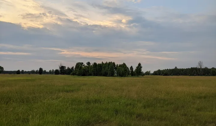 Działka rolna Sobieńki Brody, Brody