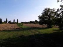 Działka rolno-budowlana Opiesin. Zdjęcie 3