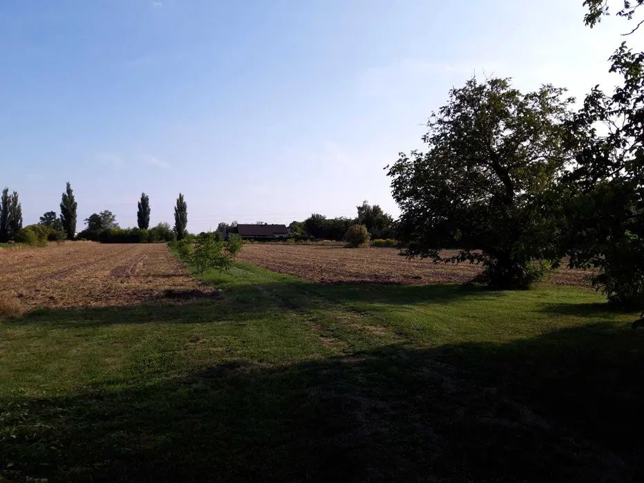 Działka rolno-budowlana Opiesin. Zdjęcie 4