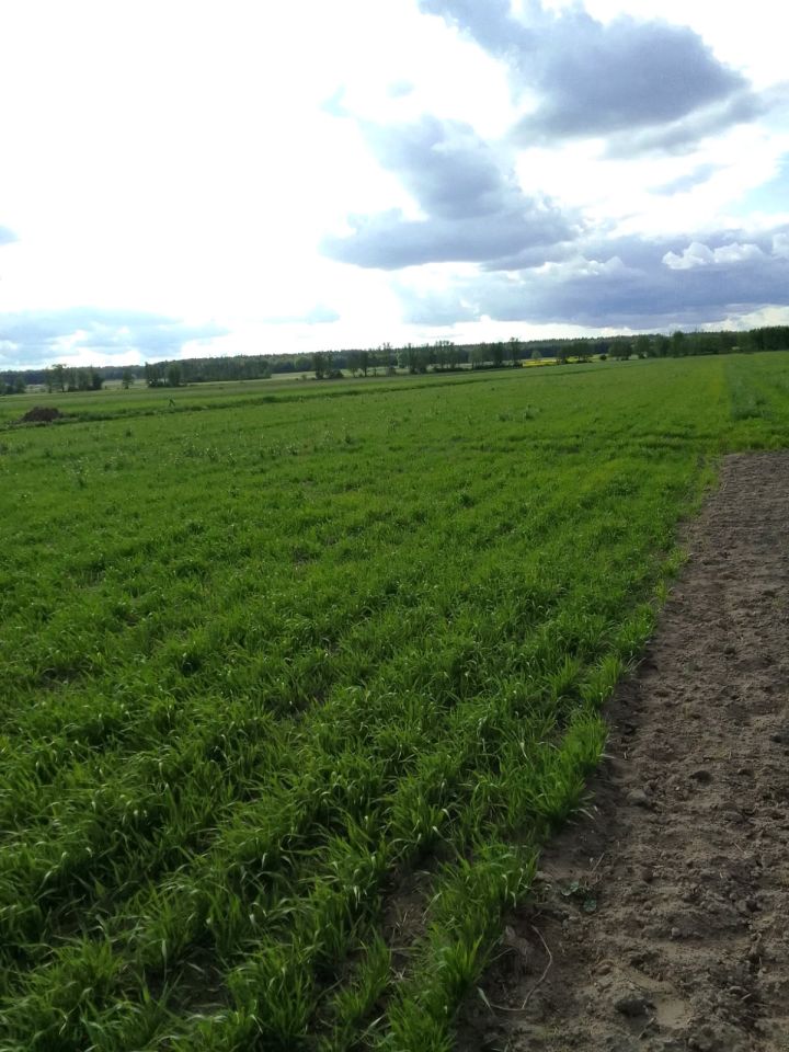 Działka budowlana Osiek Mały-Kolonia