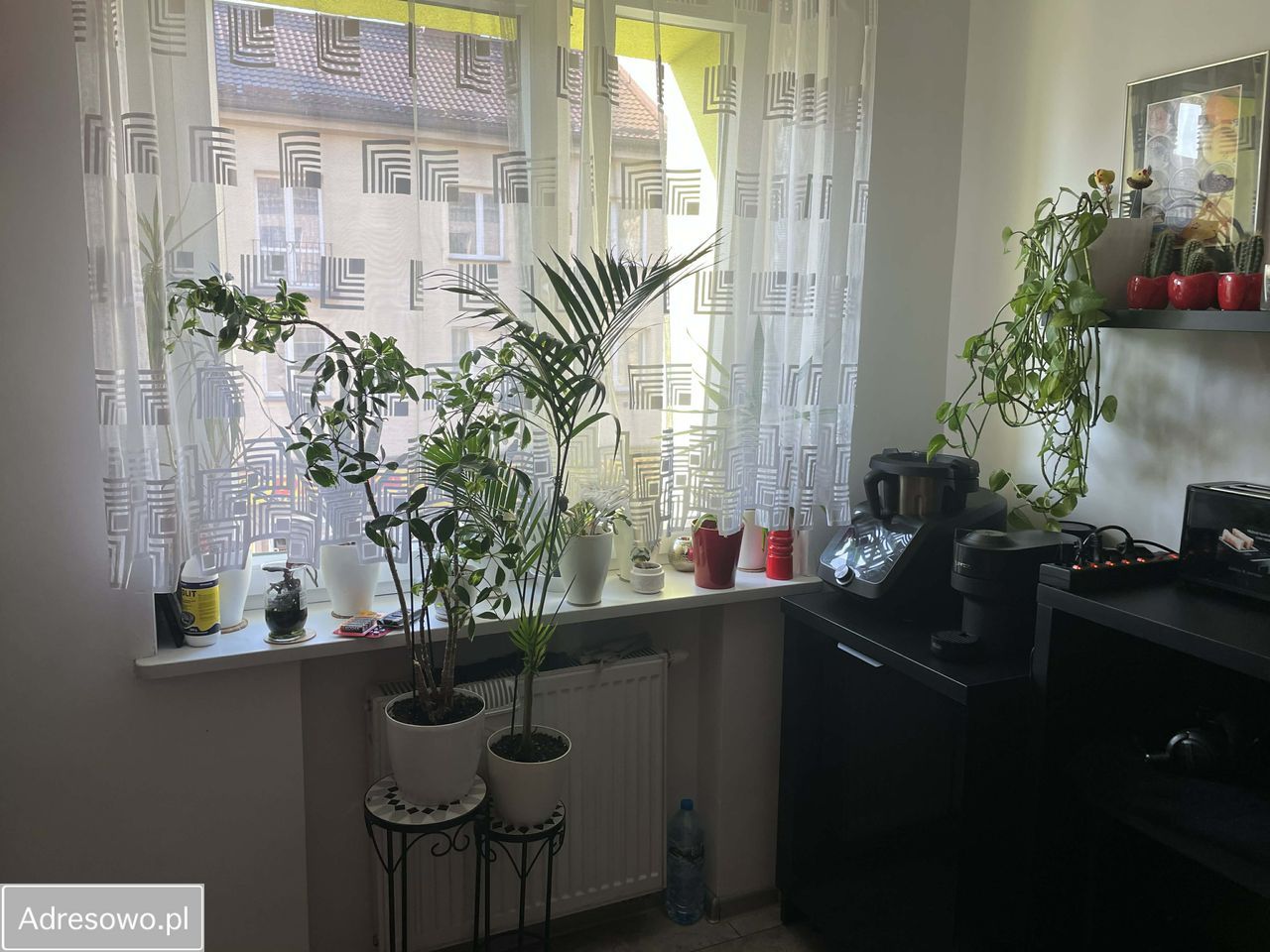 Mieszkanie 2-pokojowe Siemianowice Śląskie Centrum, ul. Leśna. Zdjęcie 14