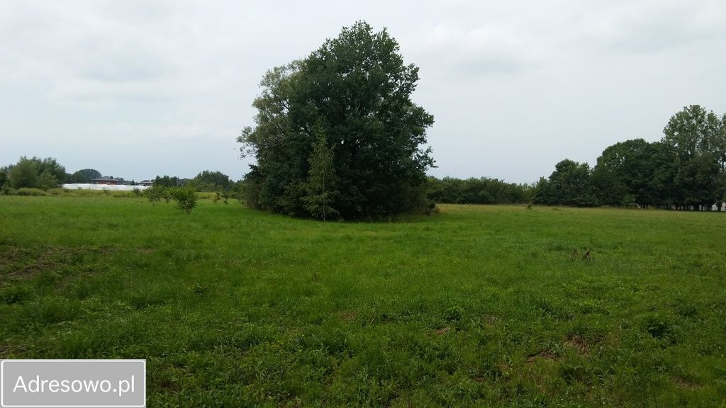 Działka inwestycyjna Grodzisk Mazowiecki, ul. W. Korfantego. Zdjęcie 4