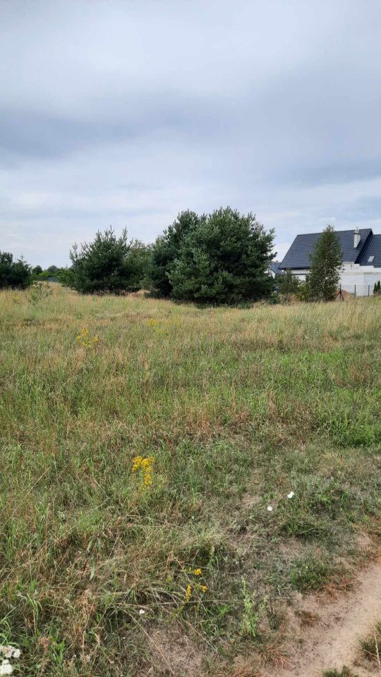 Działka budowlana Jednorożec. Zdjęcie 1