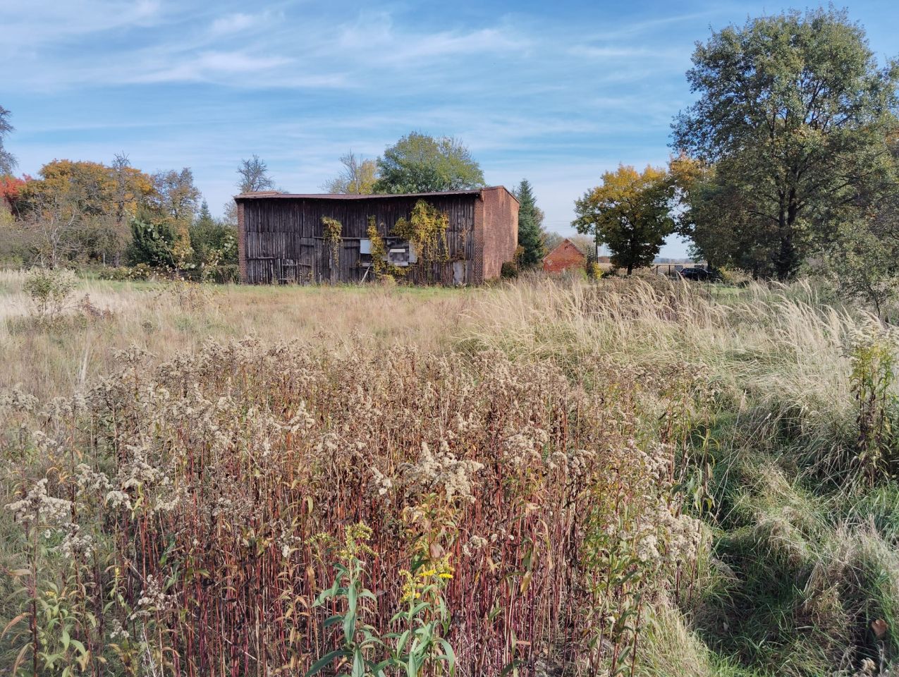 Działka rolno-budowlana Tarnowiec. Zdjęcie 6