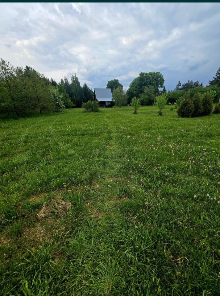 Działka siedliskowa Rogów. Zdjęcie 3