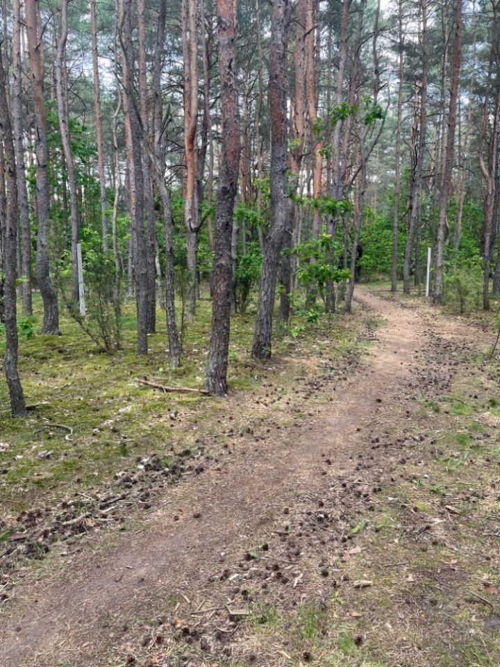 Działka leśna Warszawa Miedzeszyn, ul. Bonisławska