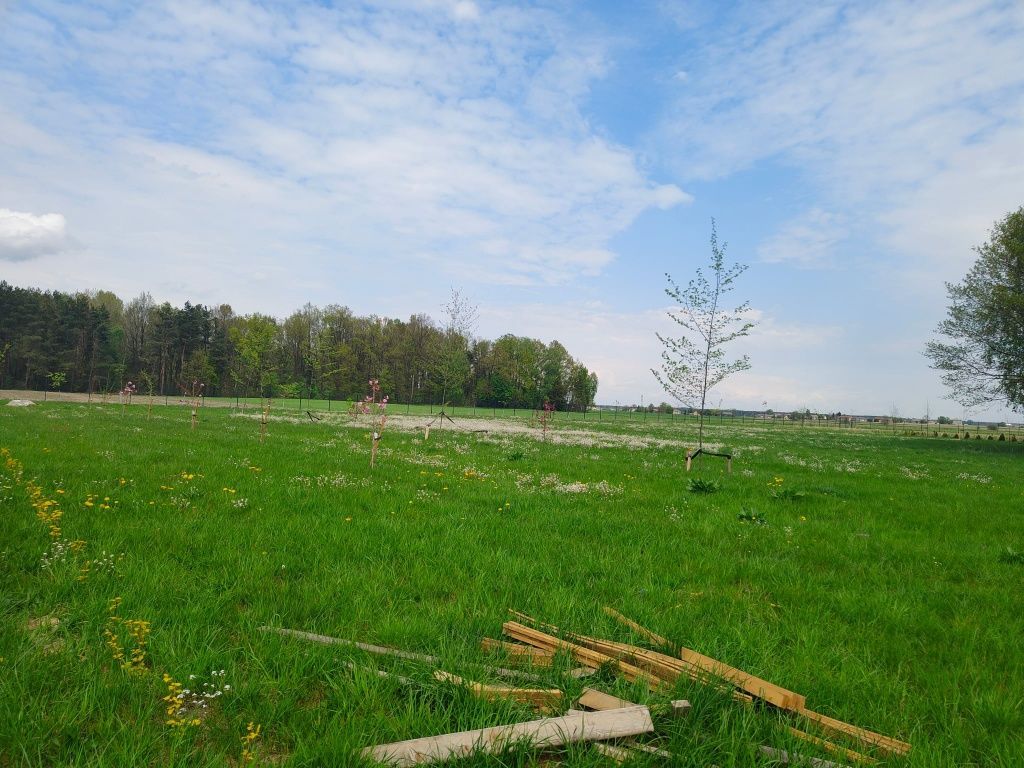 Działka budowlana Wólka Ostrożeńska. Zdjęcie 5