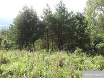 Działka rolna Kąty. Zdjęcie 2