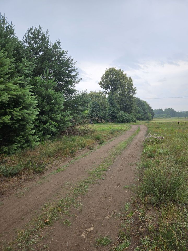 Działka budowlana Choinek. Zdjęcie 3