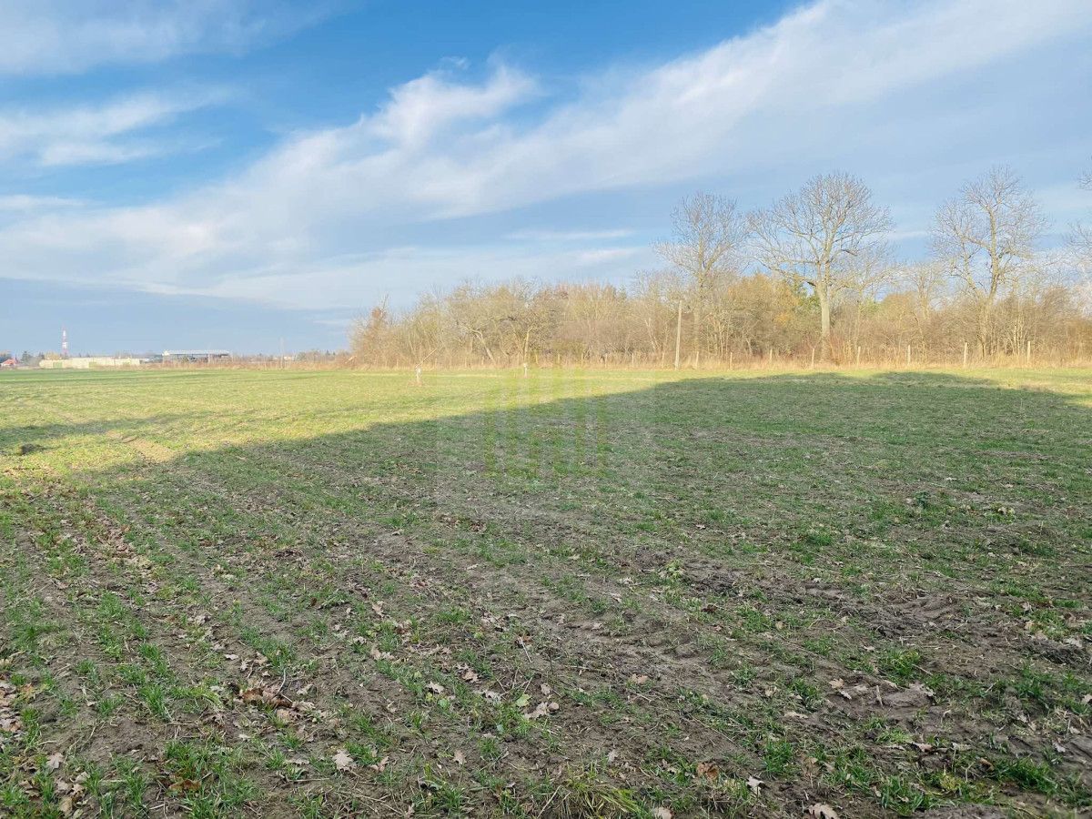 Działka budowlana Dębówka. Zdjęcie 6