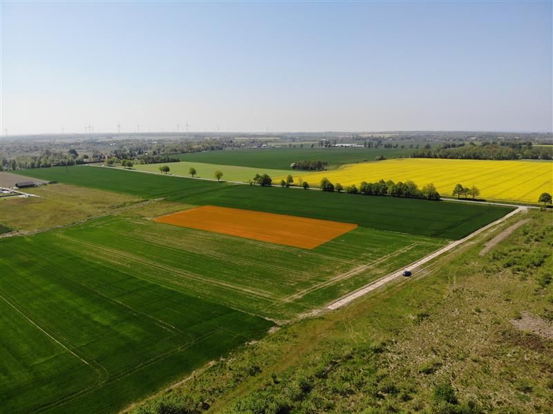 Działka budowlana Śmiechów. Zdjęcie 3