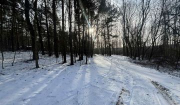 Działka leśna Kuźnica Żerechowska