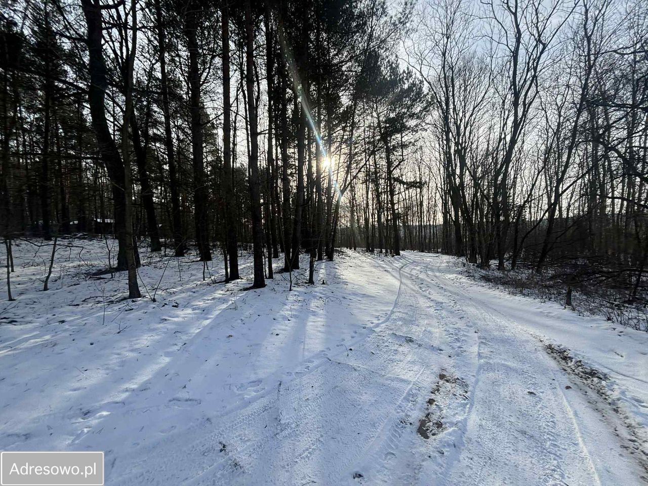 Działka leśna Kuźnica Żerechowska. Zdjęcie 2