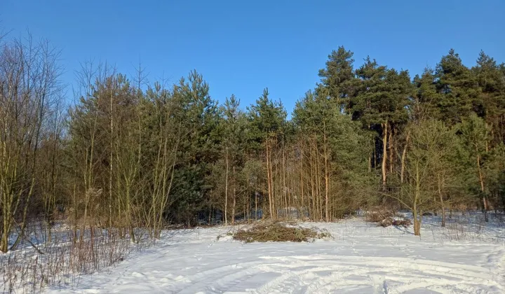 Działka budowlana Książenice, al. Akacjowa