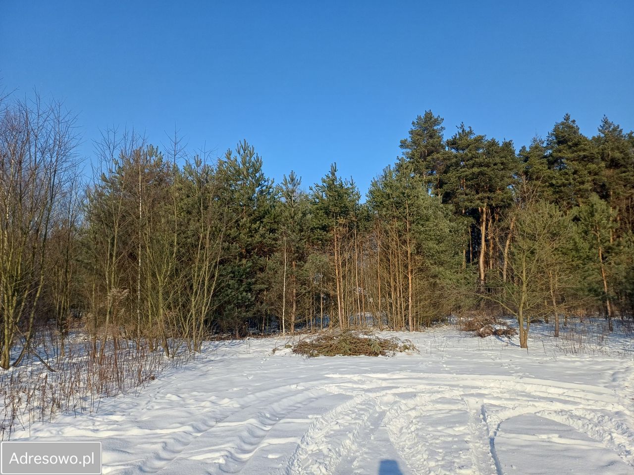 Działka budowlana Książenice, al. Akacjowa