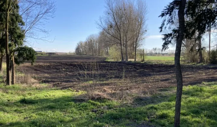 Działka rolno-budowlana Pyrzyce